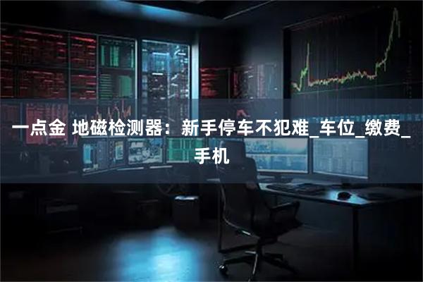 一点金 地磁检测器：新手停车不犯难_车位_缴费_手机