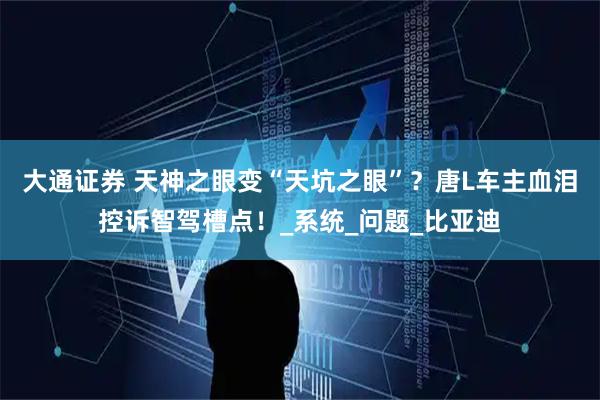 大通证券 天神之眼变“天坑之眼”？唐L车主血泪控诉智驾槽点！_系统_问题_比亚迪