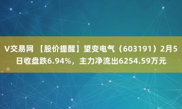 V交易网 【股价提醒】望变电气（603191）2月5日收盘跌6.94%，主力净流出6254.59万元
